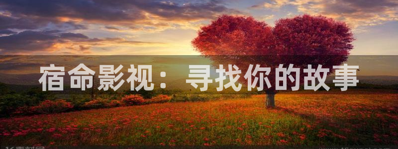 美國電影水蜜桃
